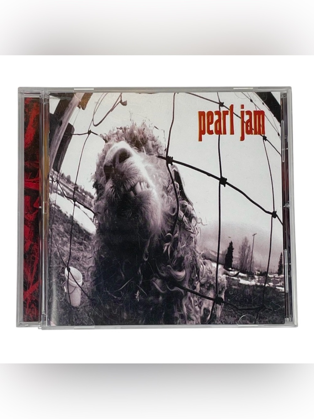 Pearl Jam VS. CD